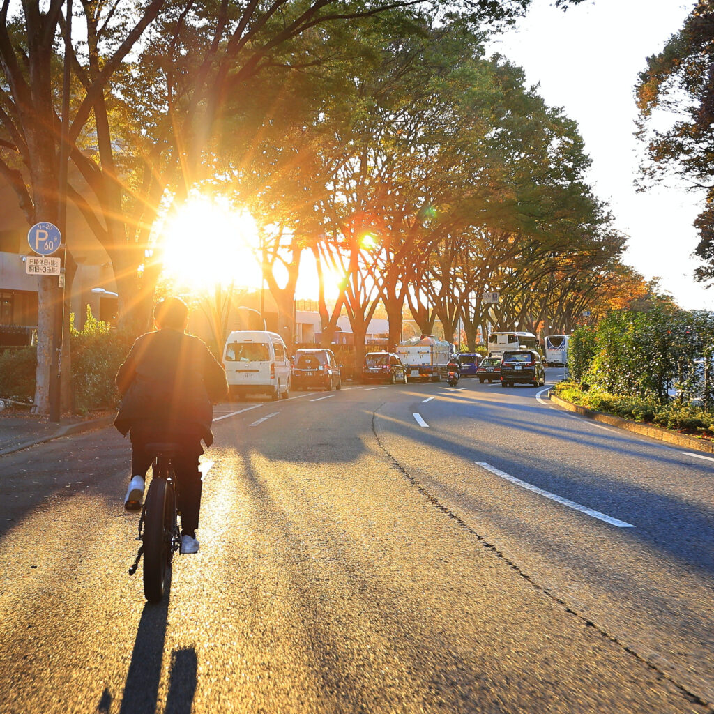 朝焼けの太陽に向けて電動自転車に乗って走っている様子